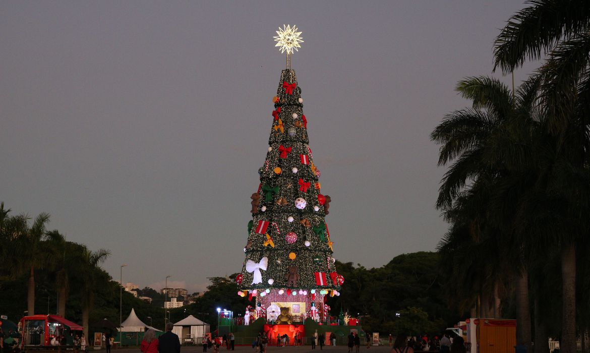 Parque Villa-Lobos exibe árvore de Natal com 52 m de altura - Guarulhos Hoje