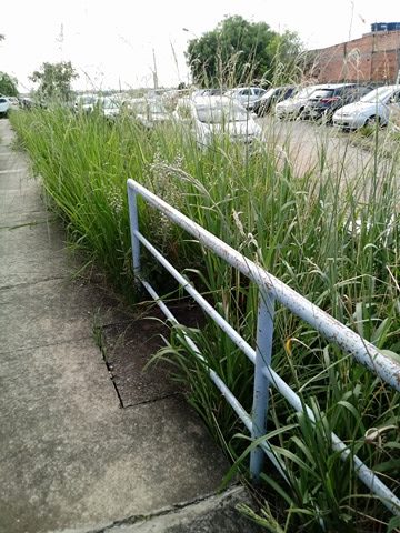 28233519_2005751959745990_1751476825_n