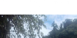 Falta de água no Novo Recreio atinge creche, diz moradora