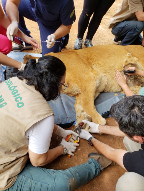 WhatsApp Image 2018-05-08 at 11.52.49 (2)