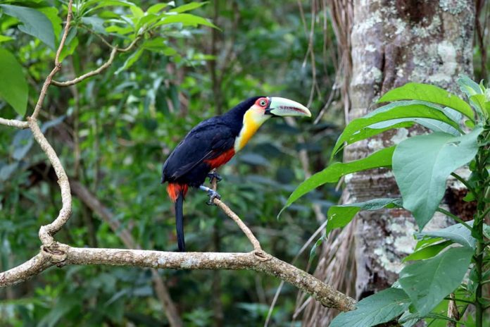 11 27 SOLTURA ZOO (4)