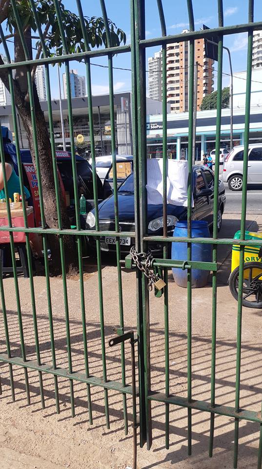 50631266_235340447388793_4884090513835163648_n