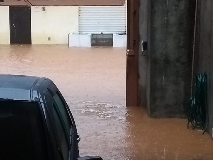 50745129_282816669069847_4682803237965791232_n