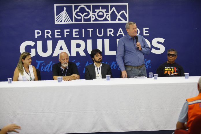 IPS_Fogos de Artificio (13)