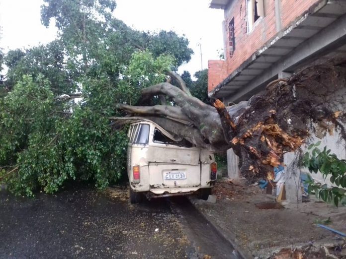 50781363_2580648918631235_8853115911427588096_n