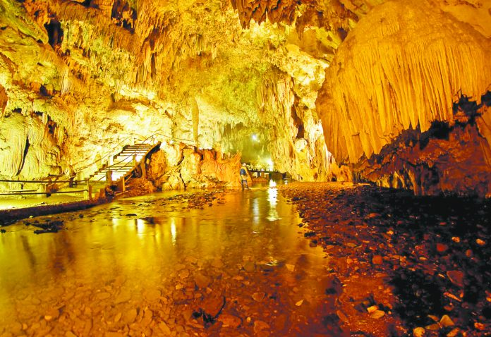 Foto divulgação (1)