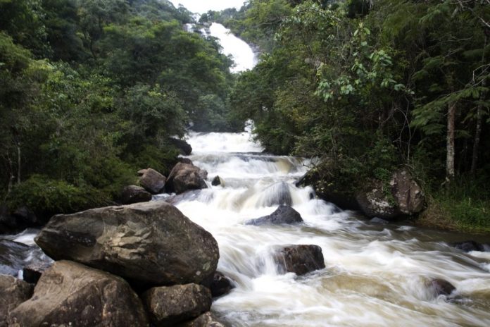 joanopolis rubens chiri foto