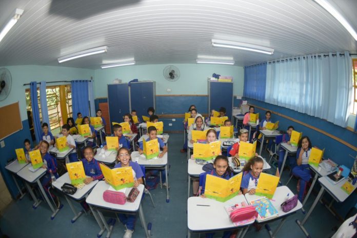 brincando com pipas 2