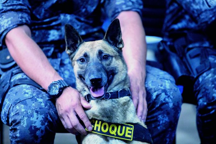 Evento Polícia Nota 10