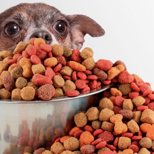 BANCO DE RAÇÃO 1 Divulgação