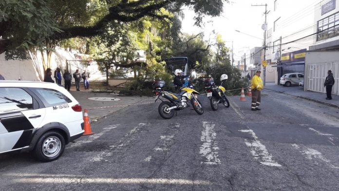 a3d3b0e1-f1dd-40e6-8e9f-7a66f8c46c7c