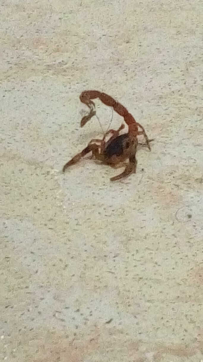 bd7bf3d2-b300-4d69-9853-e6b74d1cb480