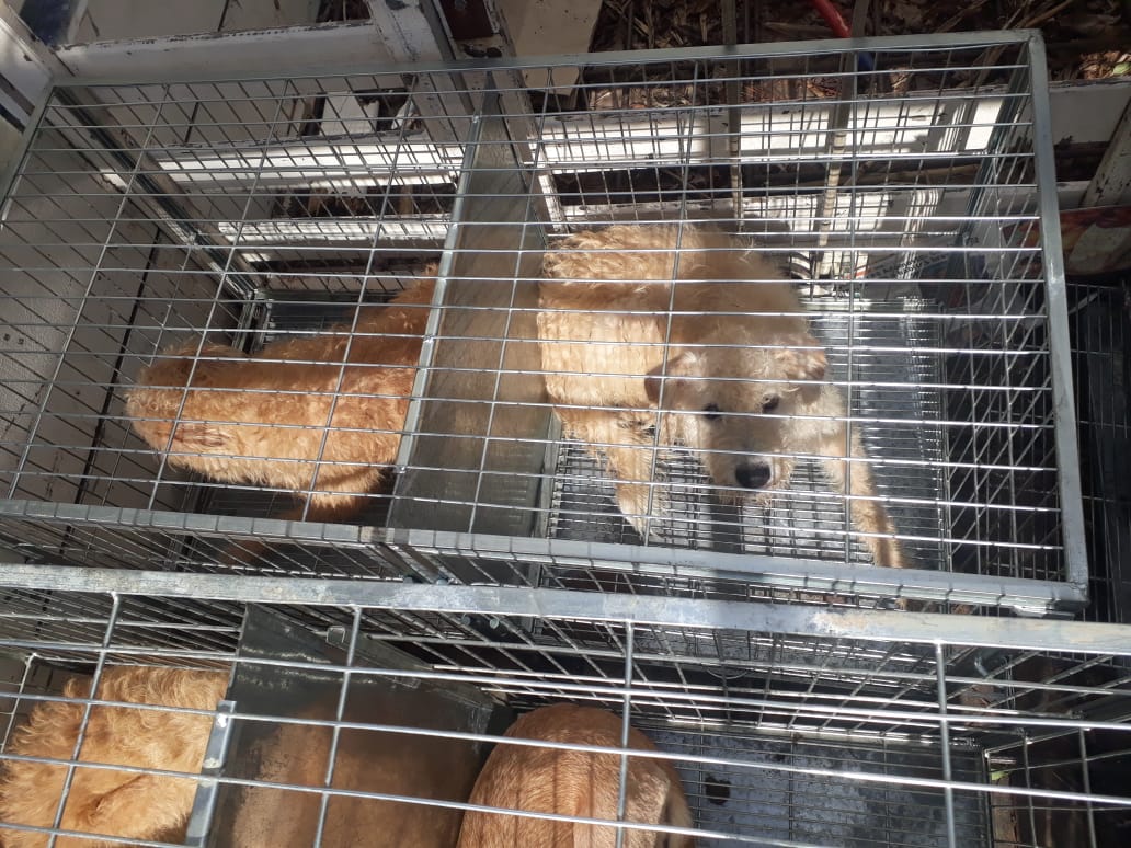 7148f238-e245-4362-9343-fd85cfafdfbf-1