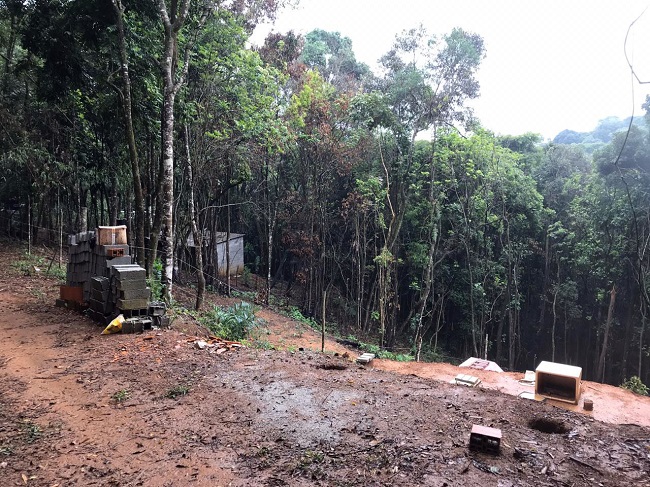 CRIME AMBIENTAL foto divulgacao (1)