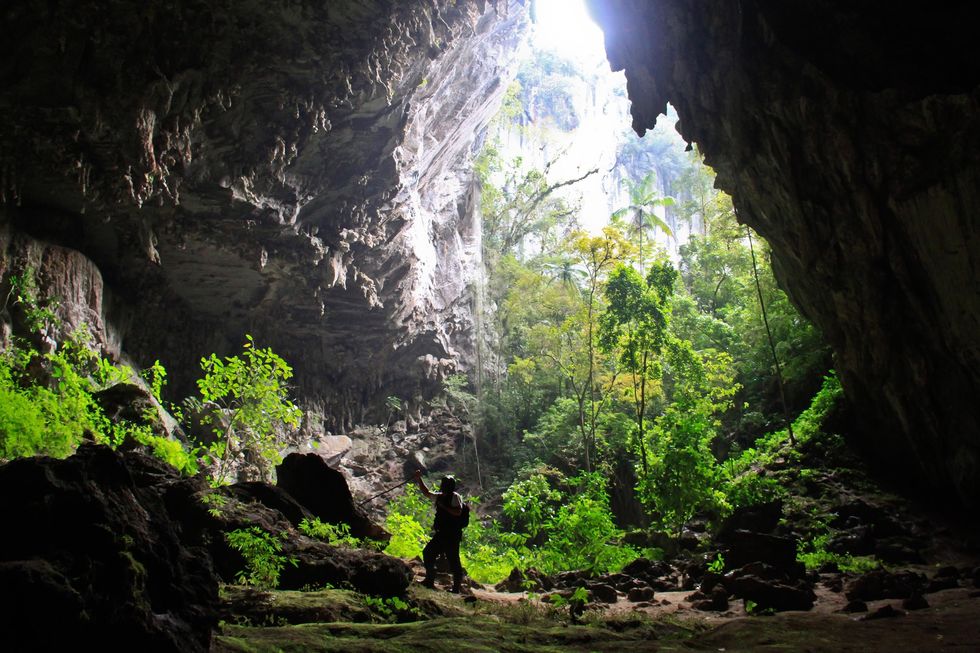 Explore-todas-as-opções-do-Petar-0