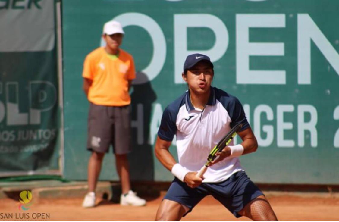 MATERIA CRIS foto divulgacao