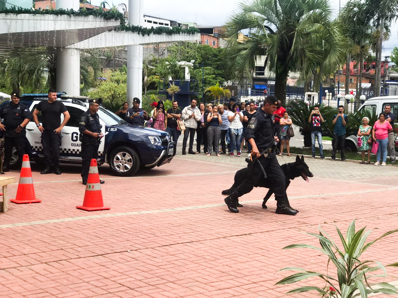 Canil shopping bonsucesso