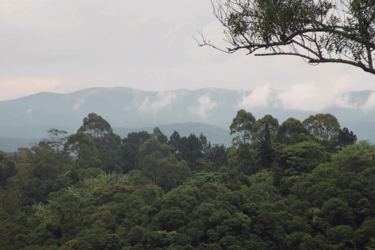 Vista geral da serra de Itaberaba - Foto Annabel Pérez Aguilar