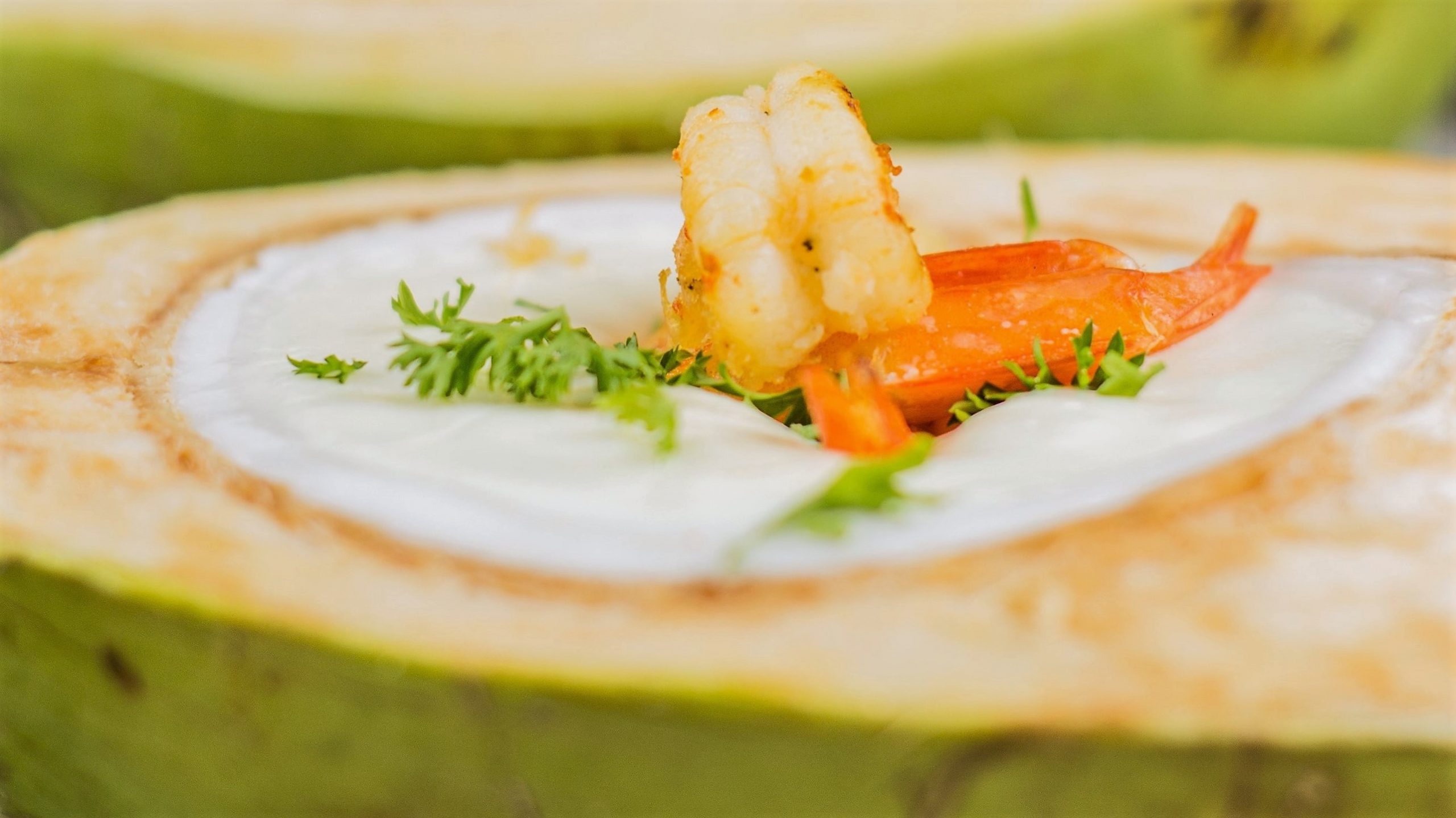 Camarao ao catupiry no coco verde (Divulgacao)_wd