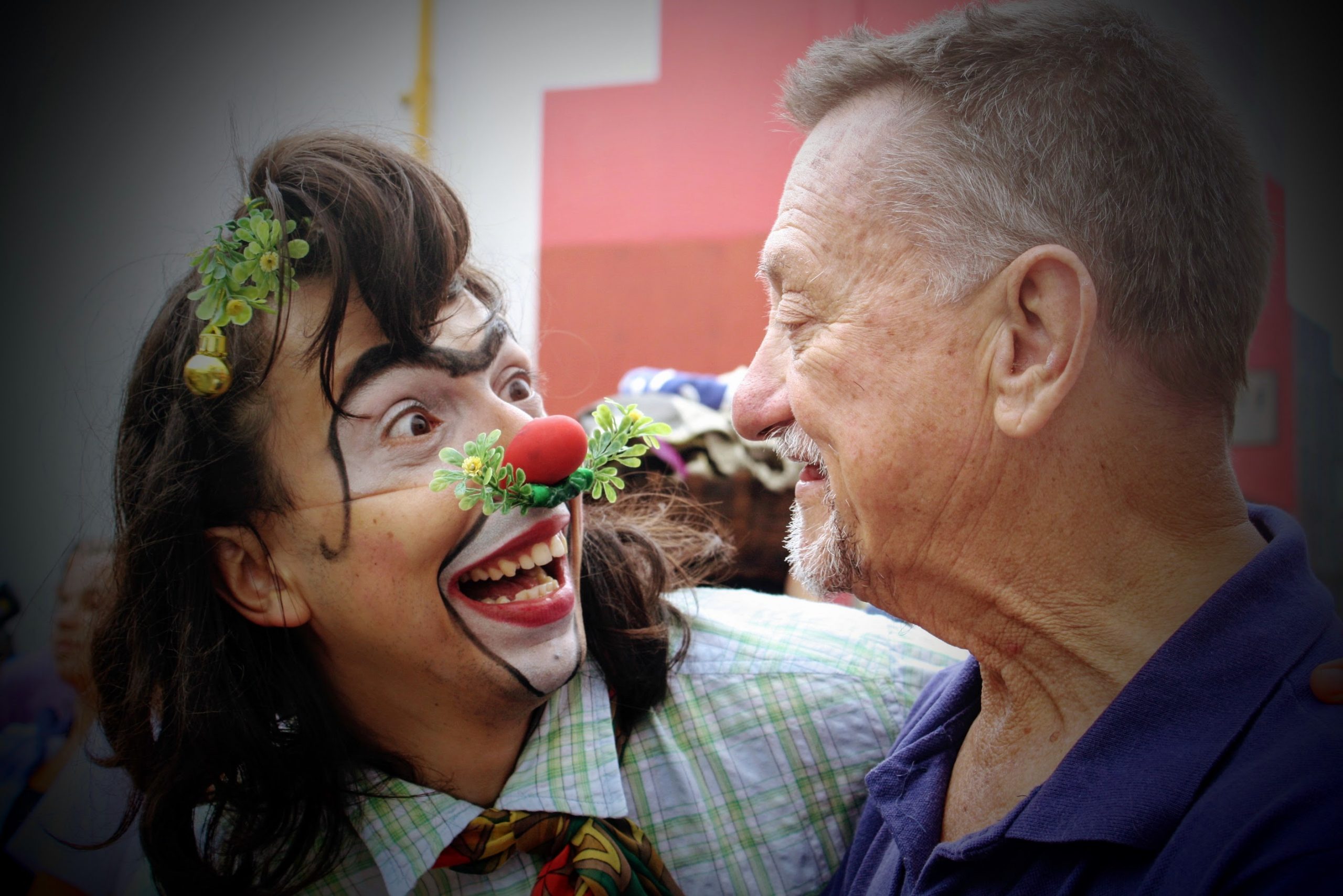 Bizorão e Castelo Hanssen. Foto.R.Maia