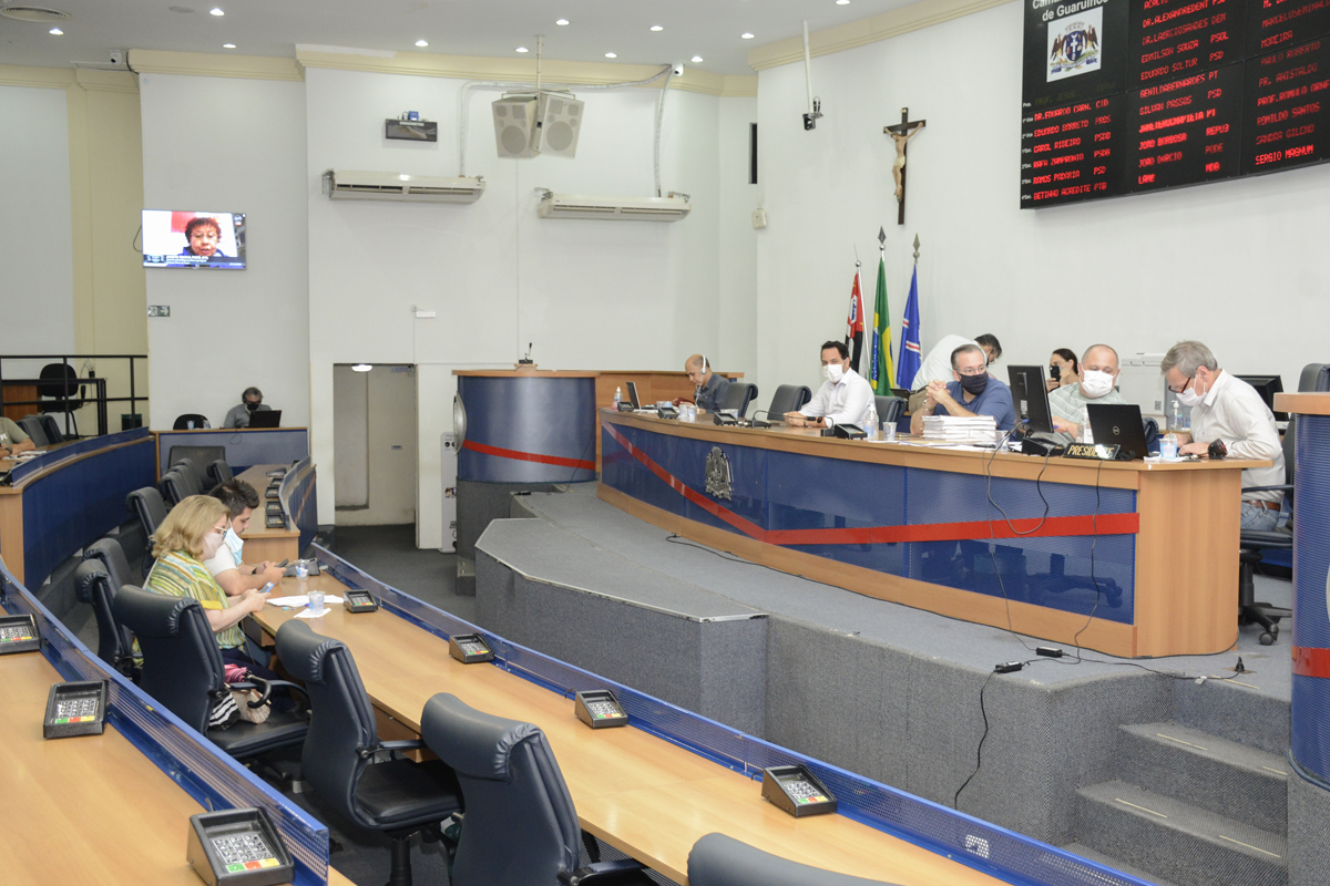 Sessão Extraordinária_22122020_Bruno Netto_003