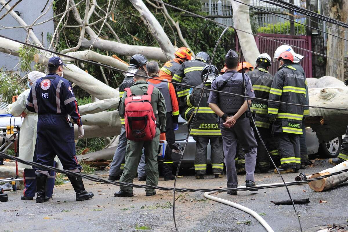 Árvore-caiu-em-cima-de-um-veículo-na-rua-Dr.-Thirso-Martins-32-na-Vila-Mariana-zona-sul-paulistana__Willian-Moreira-Futura-Press-Estadão-Conteúdo