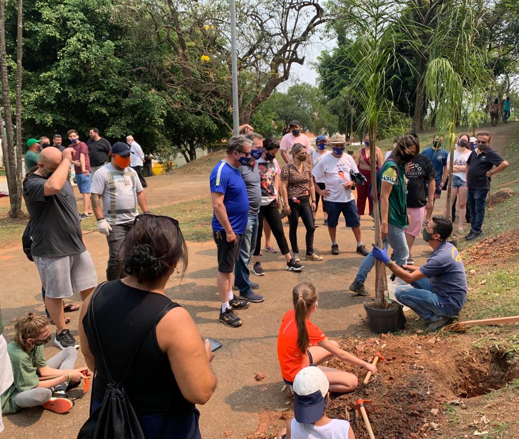 cidade ganha árvores