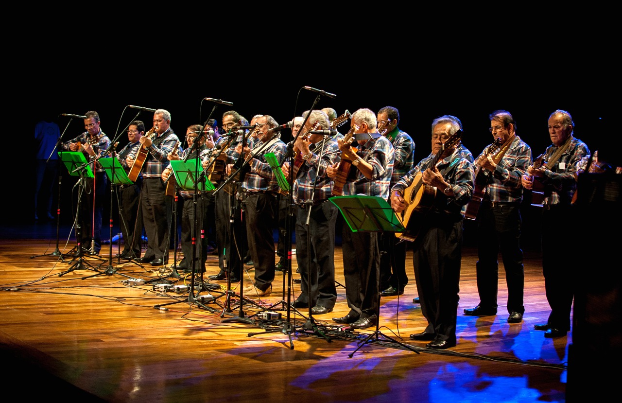 Orquestra de Violeiros (2)