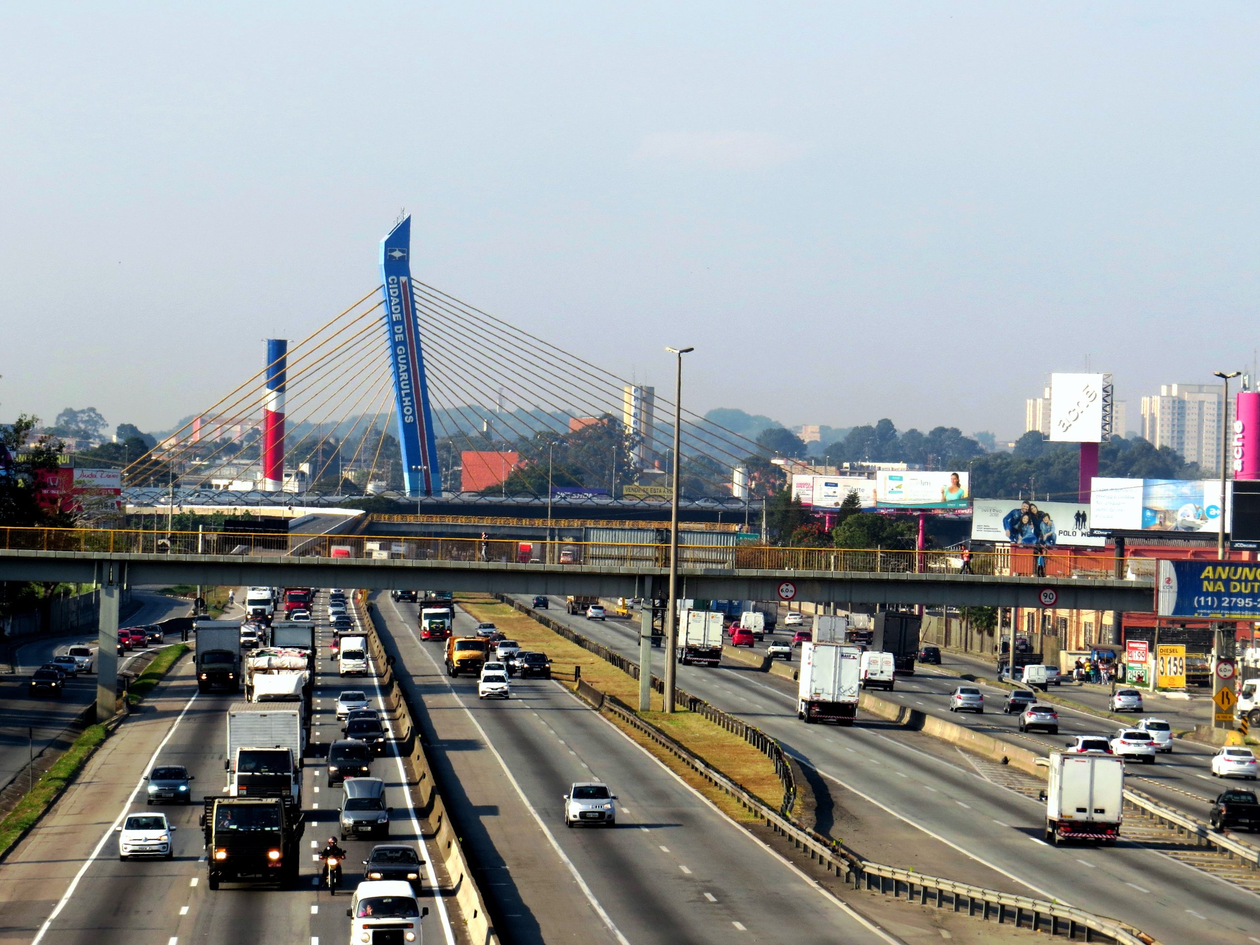 DUTRA_Pedro Lacerda (14)