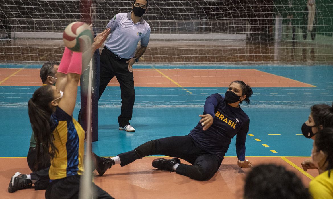 Vôlei sentado