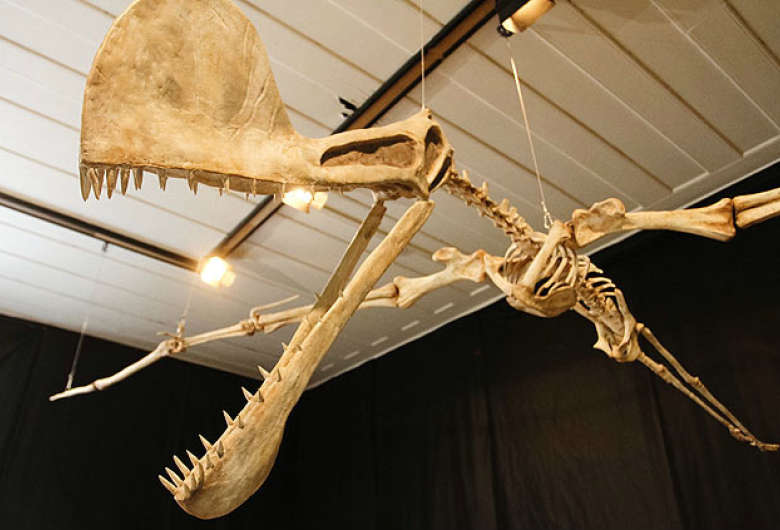 5149eb89b3f0701eeb0d3272e2e1f1e46b62e8985494c