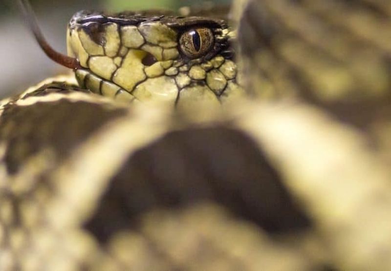 Design sem nome (20)