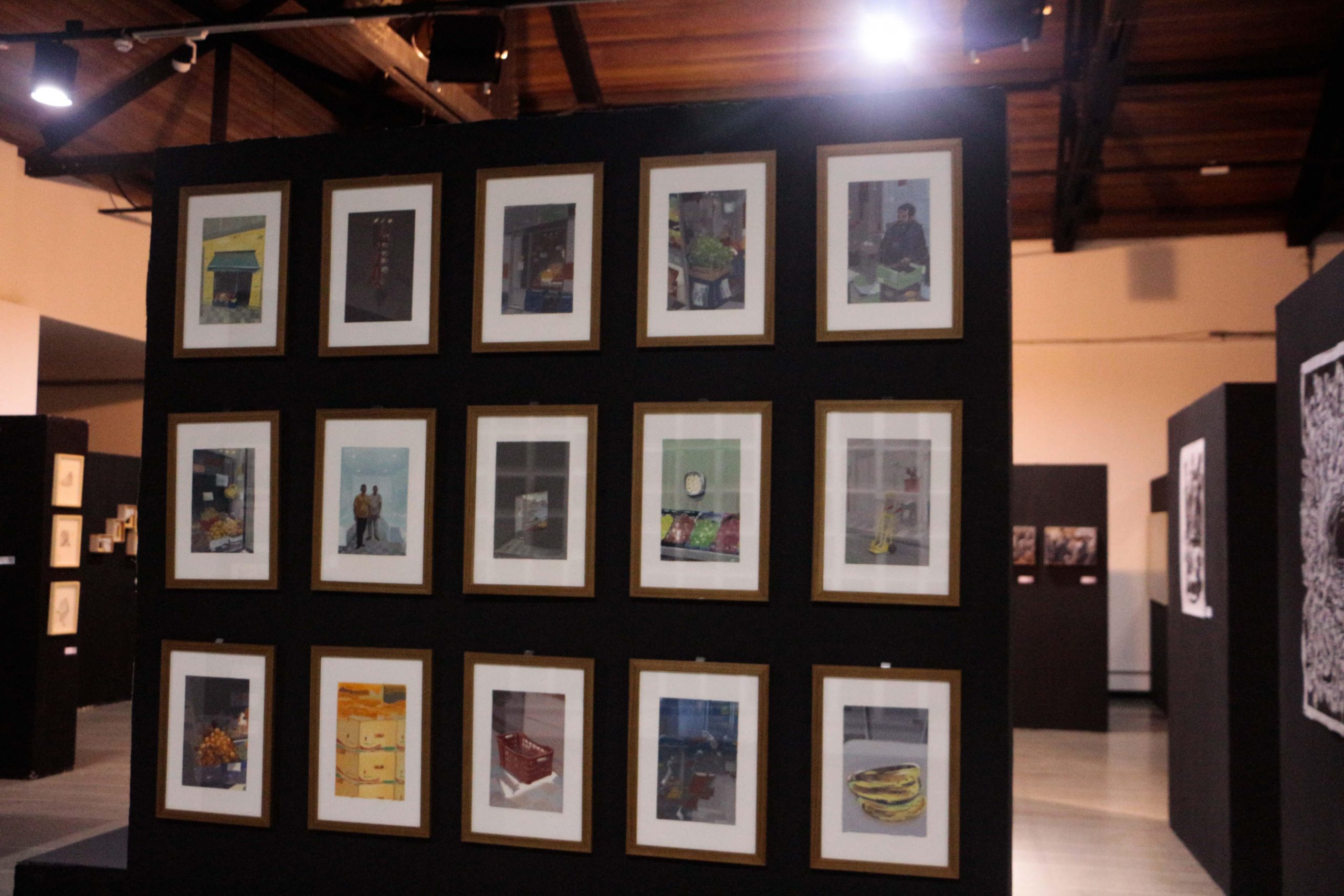 Salão Nacional de Arte Contemporânea - Foto Carla Maio (4)_edited