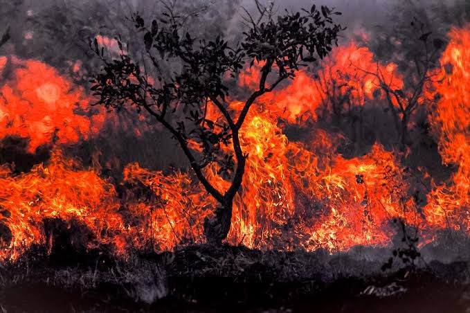 WhatsApp Image 2021-09-28 at 13.51.29