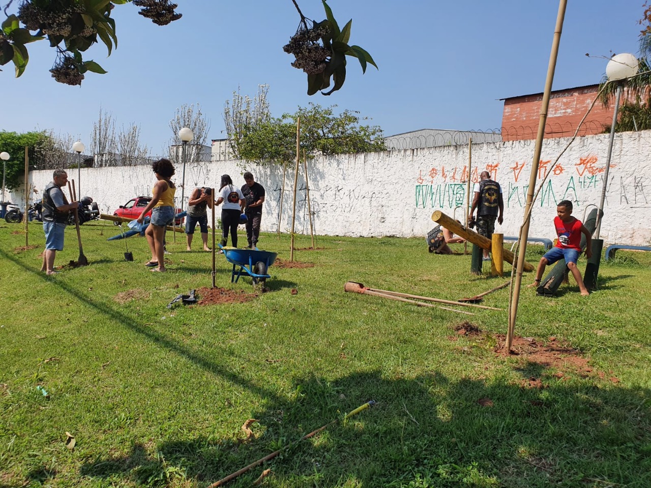 ilhaas verdes inicoop