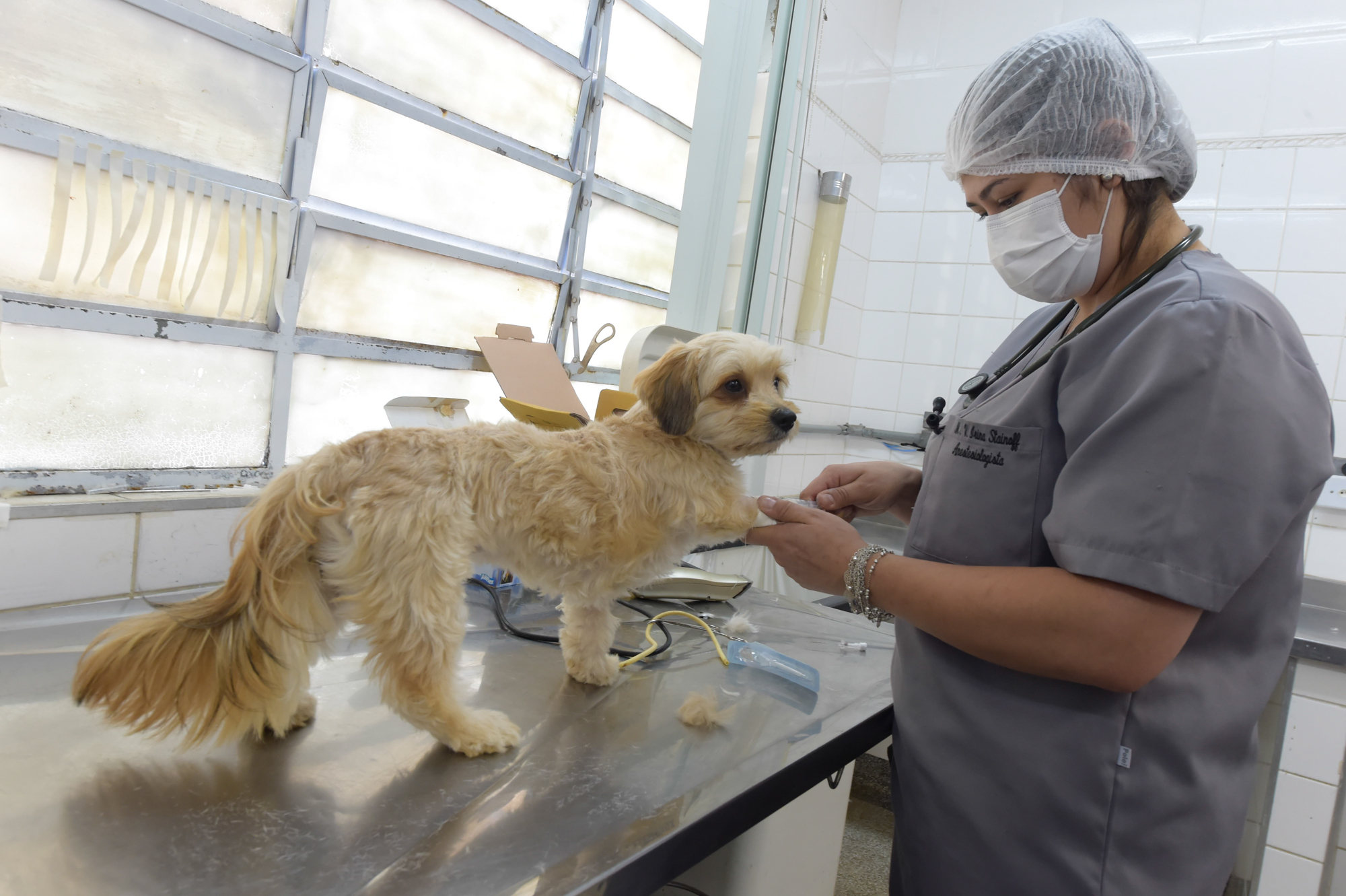 Depan Castração_Foto_Fabio_Nunes_Teixeira (4)