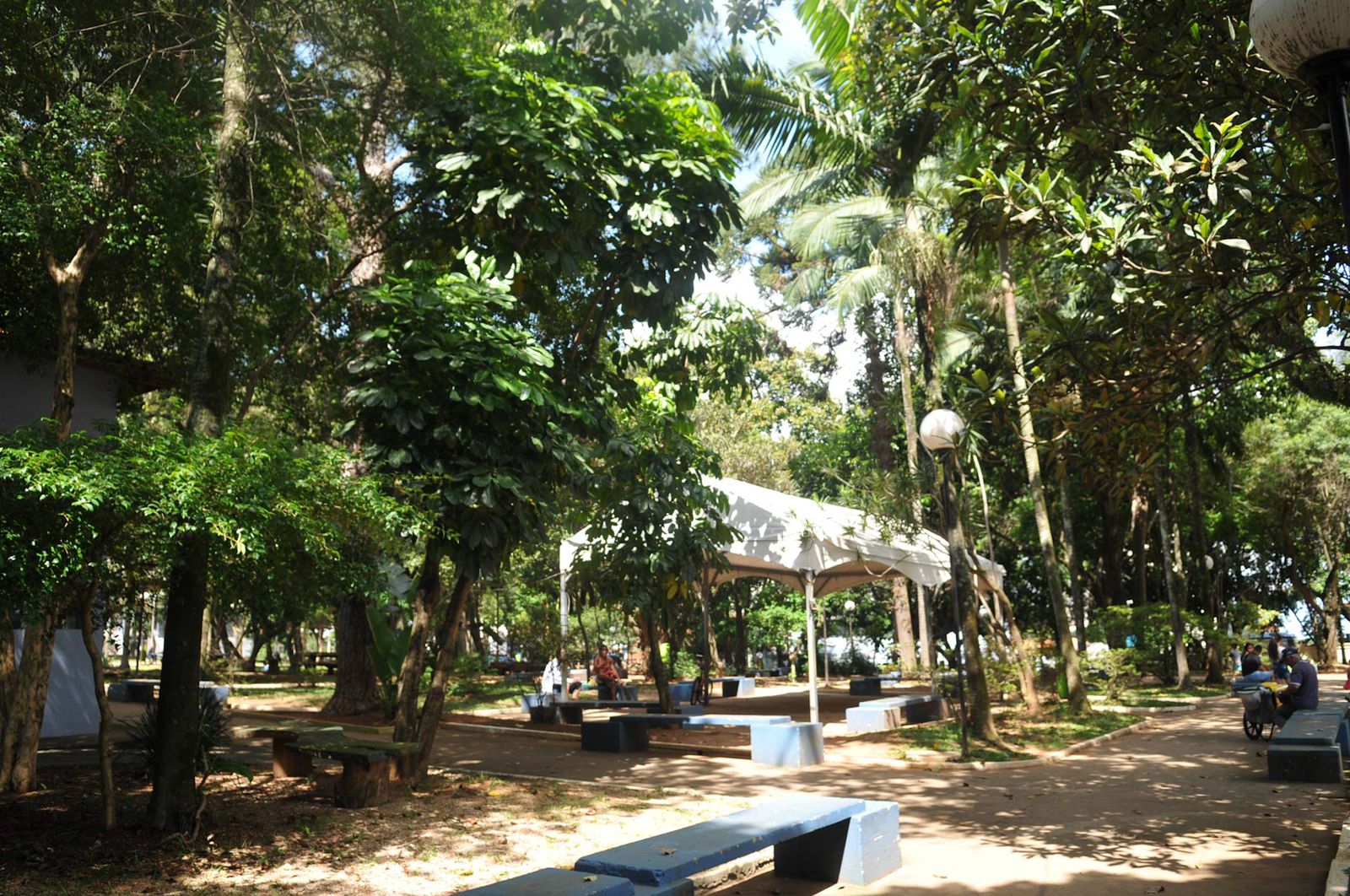 WhatsApp Image 2021-11-12 at 17.45.29