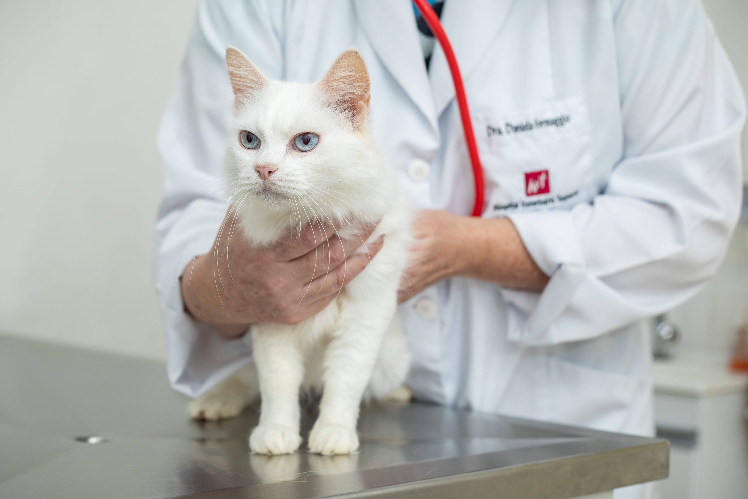 f64a1a1ee0ba7162f87c9bb89c274e1f