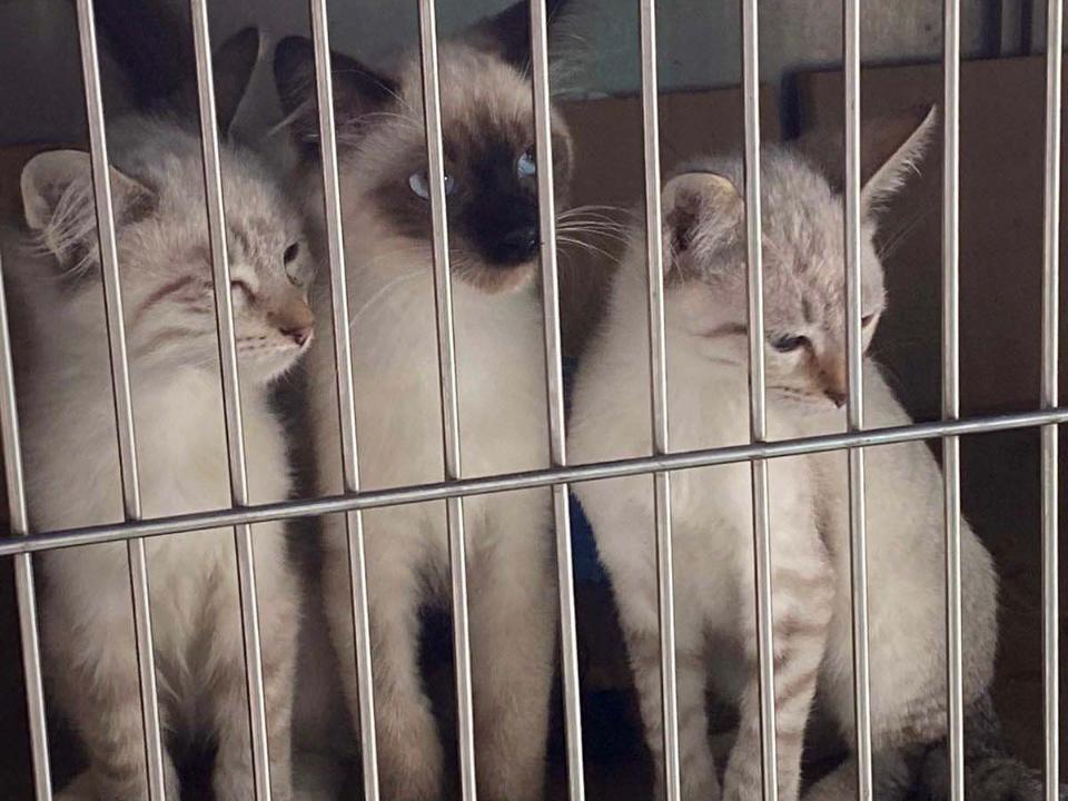 WhatsApp Image 2021-12-09 at 12.31.16