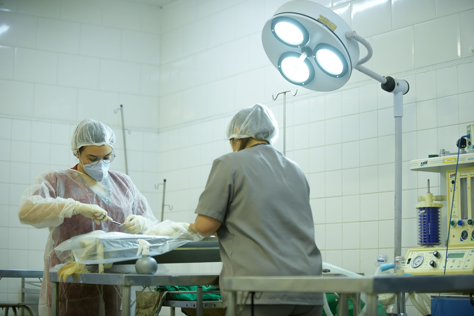 Depan Castração_Foto_Fabio_Nunes_Teixeira (5)