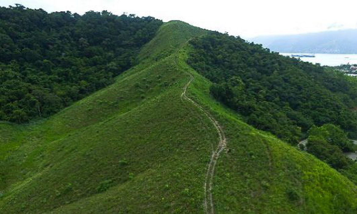 Recuperação mata atlântica/ fauna/ flora