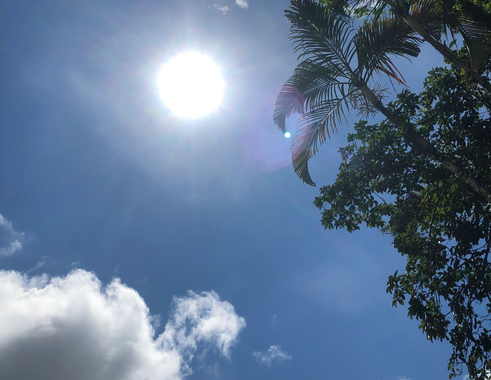 WhatsApp Image 2022-01-24 at 12.43.11