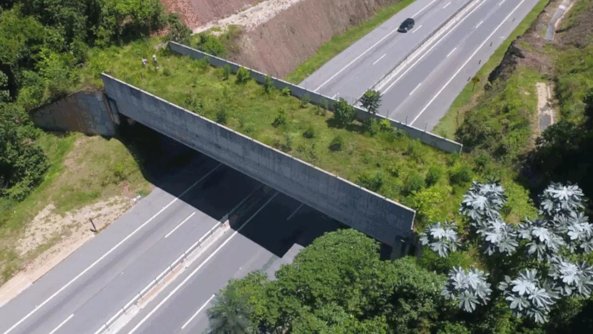 WhatsApp Image 2022-02-10 at 17.02.04