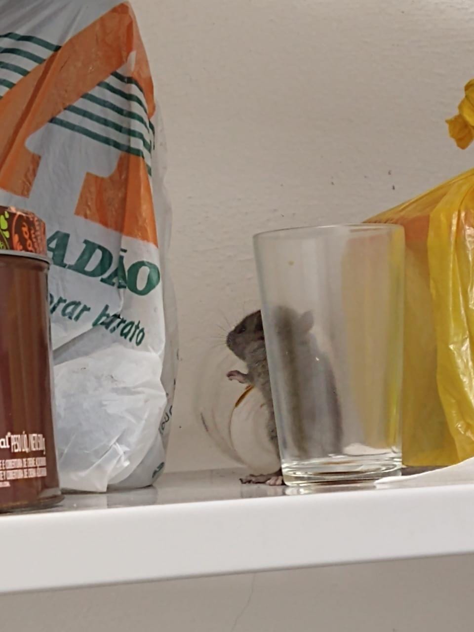 278251976_10229304117334331_7668483554970299887_n