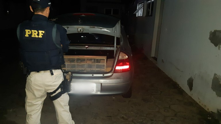 3c53d35a-8ac1-4606-9286-b70b11f7dca9