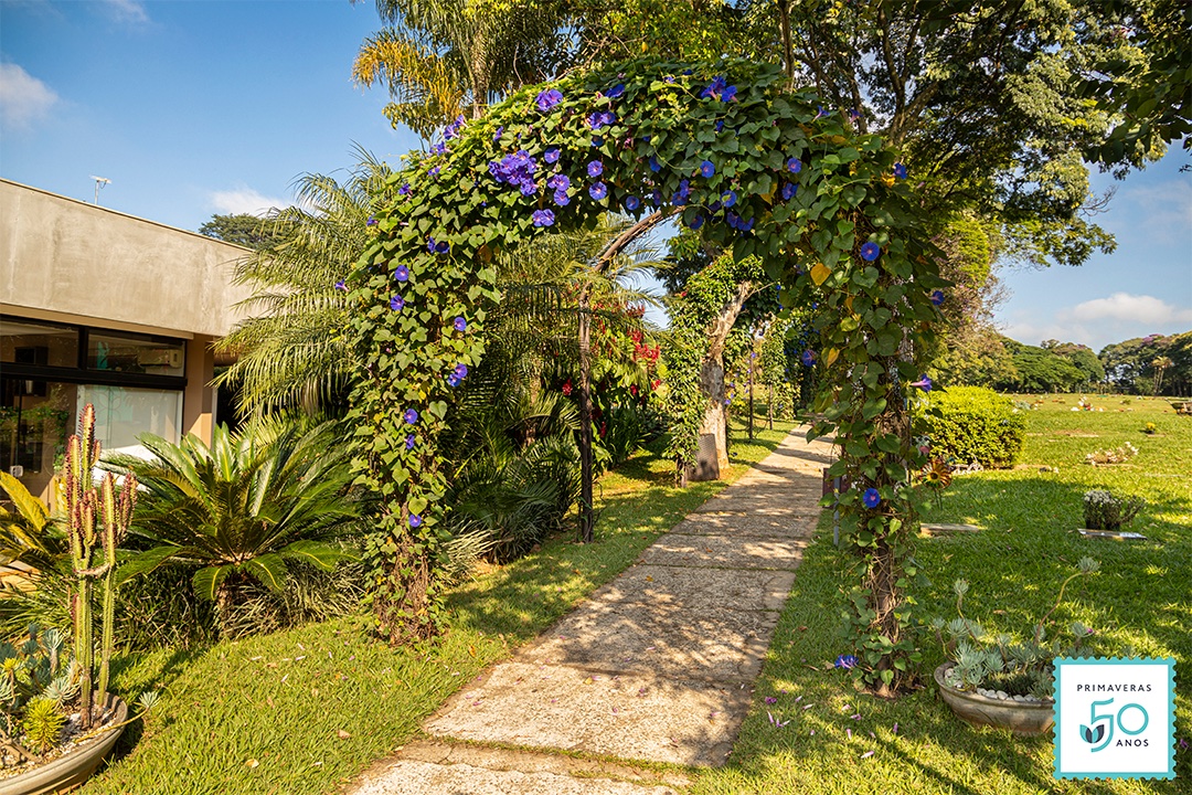 WhatsApp Image 2022-04-06 at 16.52.55