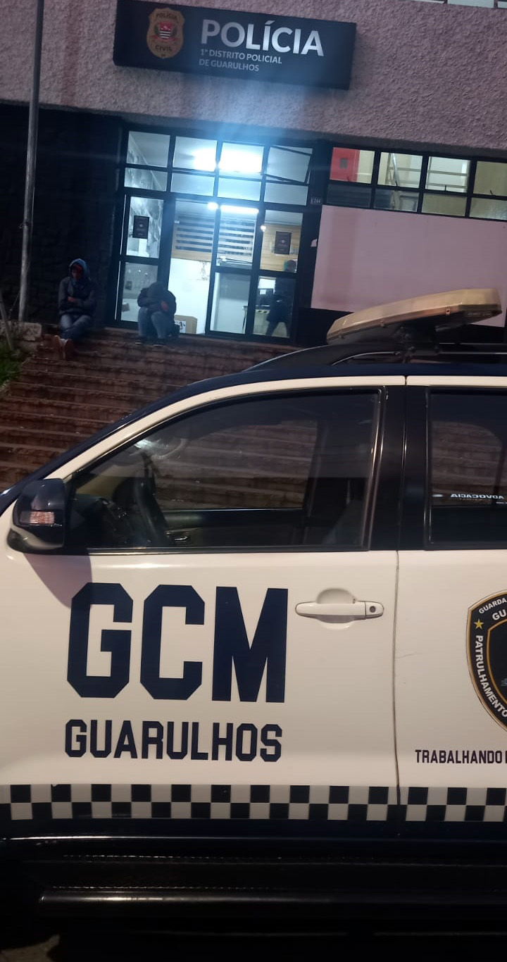 gcm violencia domestica