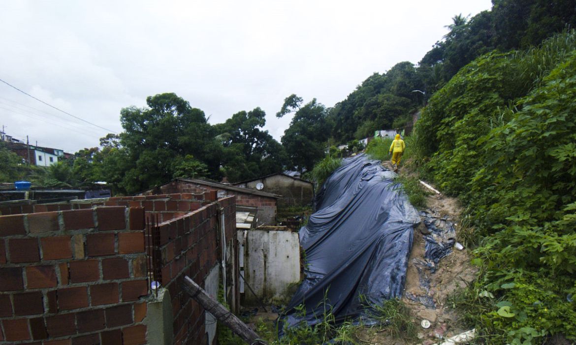 jardim_monte_verde_tv_brasil_3005220048