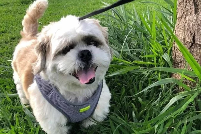 1_img_20220307_wa0026-7557473