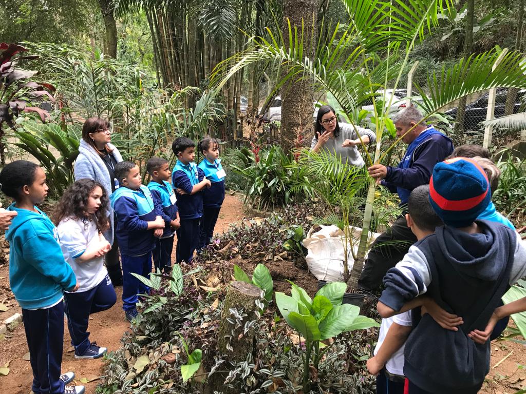 visita monitorada maia 4